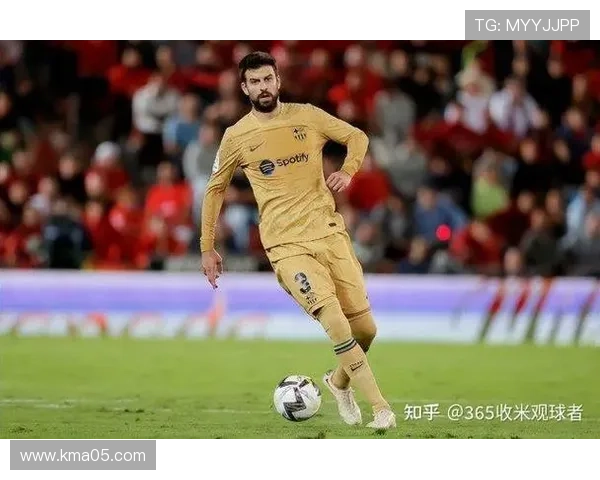 皮克战术适配性